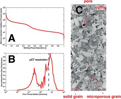 Using Nano-XRM and High-Contrast Imaging to Inform Micro-Porosity Permeability During Stokes–Brinkman Single and Two-Phase Flow Simulations on Micro-CT Images